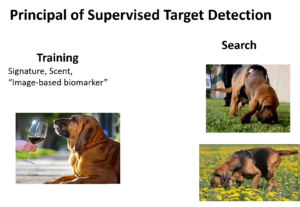 Image-Based Biomarkers resemble blood hounds: first train blood hounds to identify desired sent, then allow them to search for the Scent, 