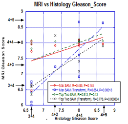 Figure plots the average Gleason score within a tumor using the top scorer and no transformation, top scorer with transform, weighted top 2 scorers no transform and weighted top 2 scorers with transform. The vertical and horizontal axis record the numerical Gleason scheme. Conventional Gleason scores are superimposed on each axis.